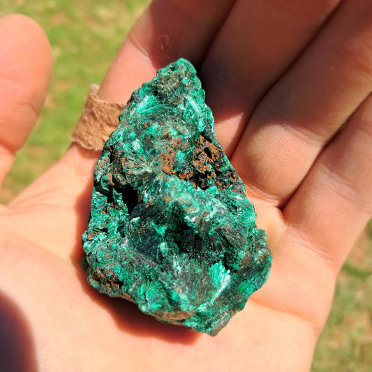 Silky Malachite