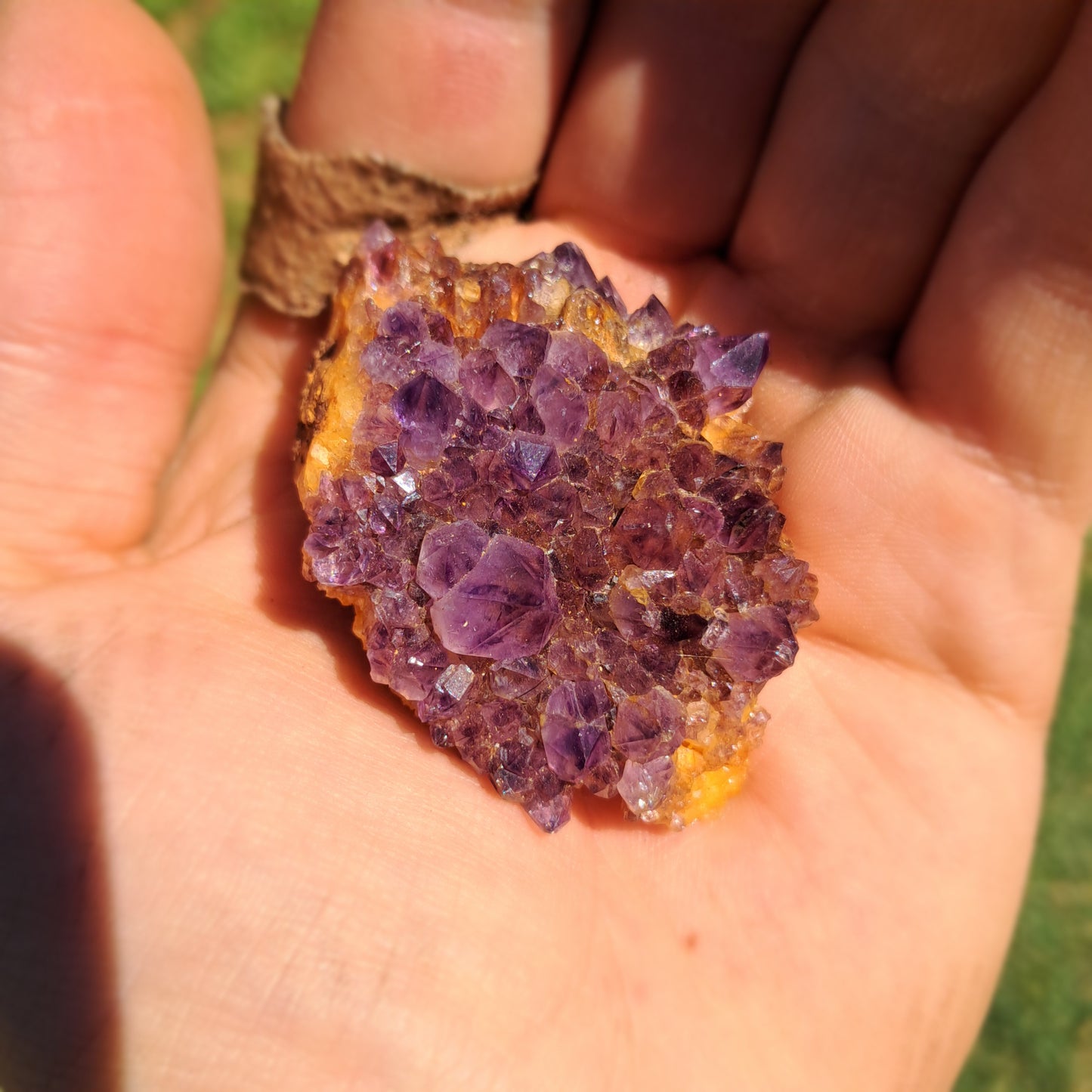 Amethyst Master Set — 5-Piece Raw Cluster Bundle (230g Total)