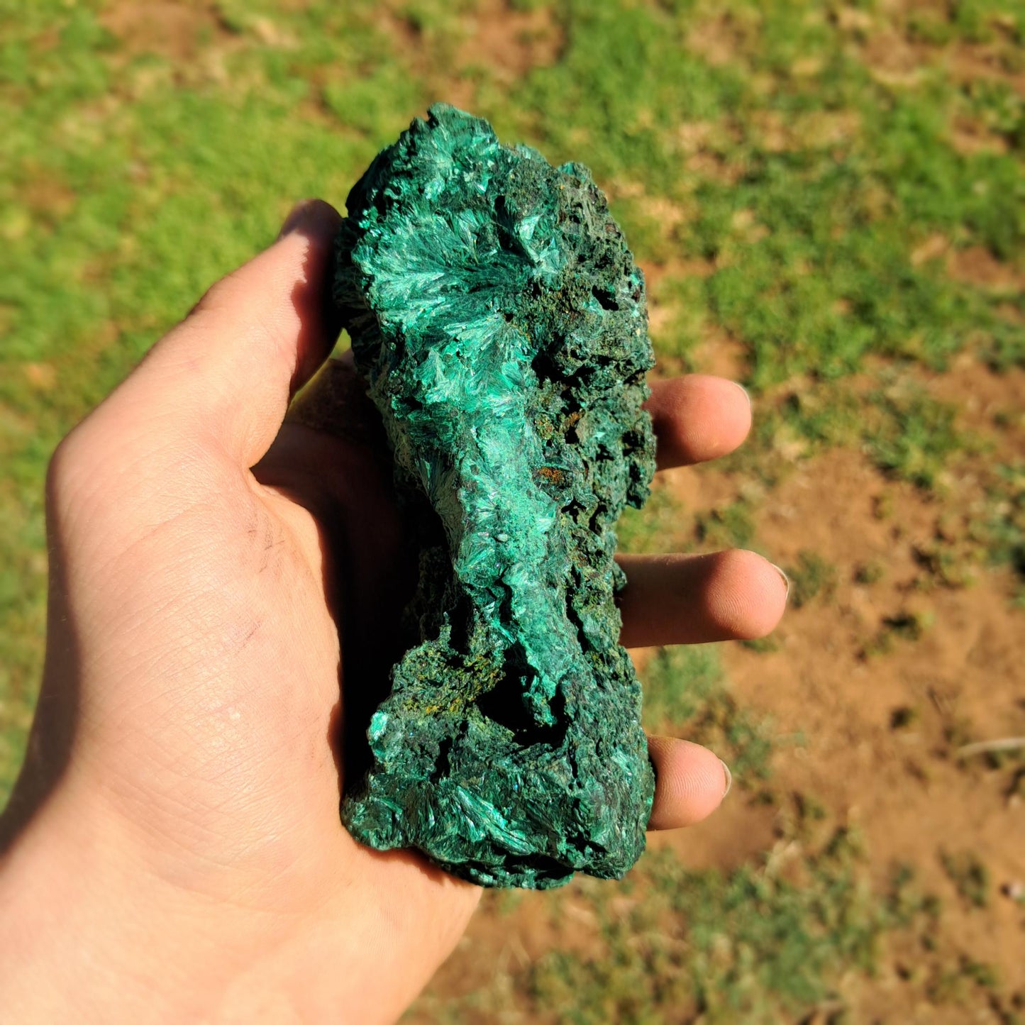 Large Silky Malachite