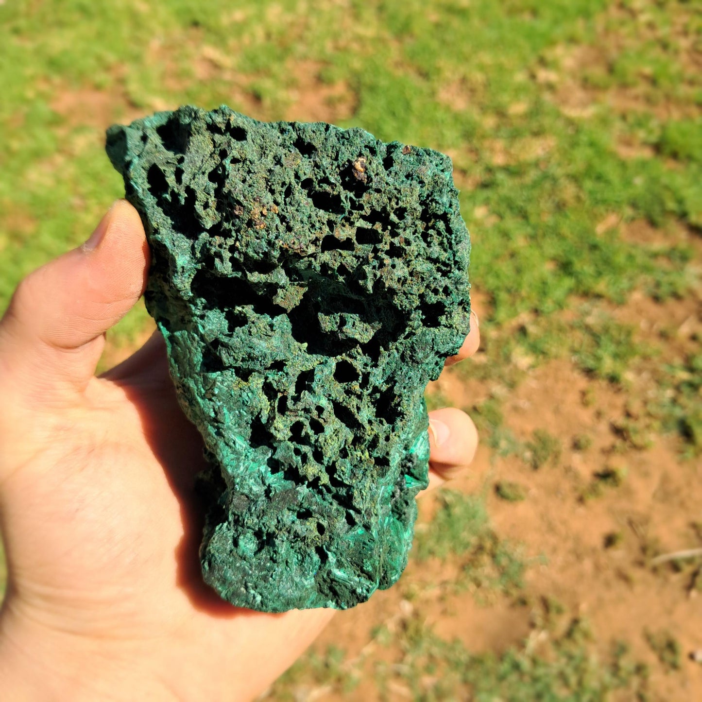 Large Silky Malachite