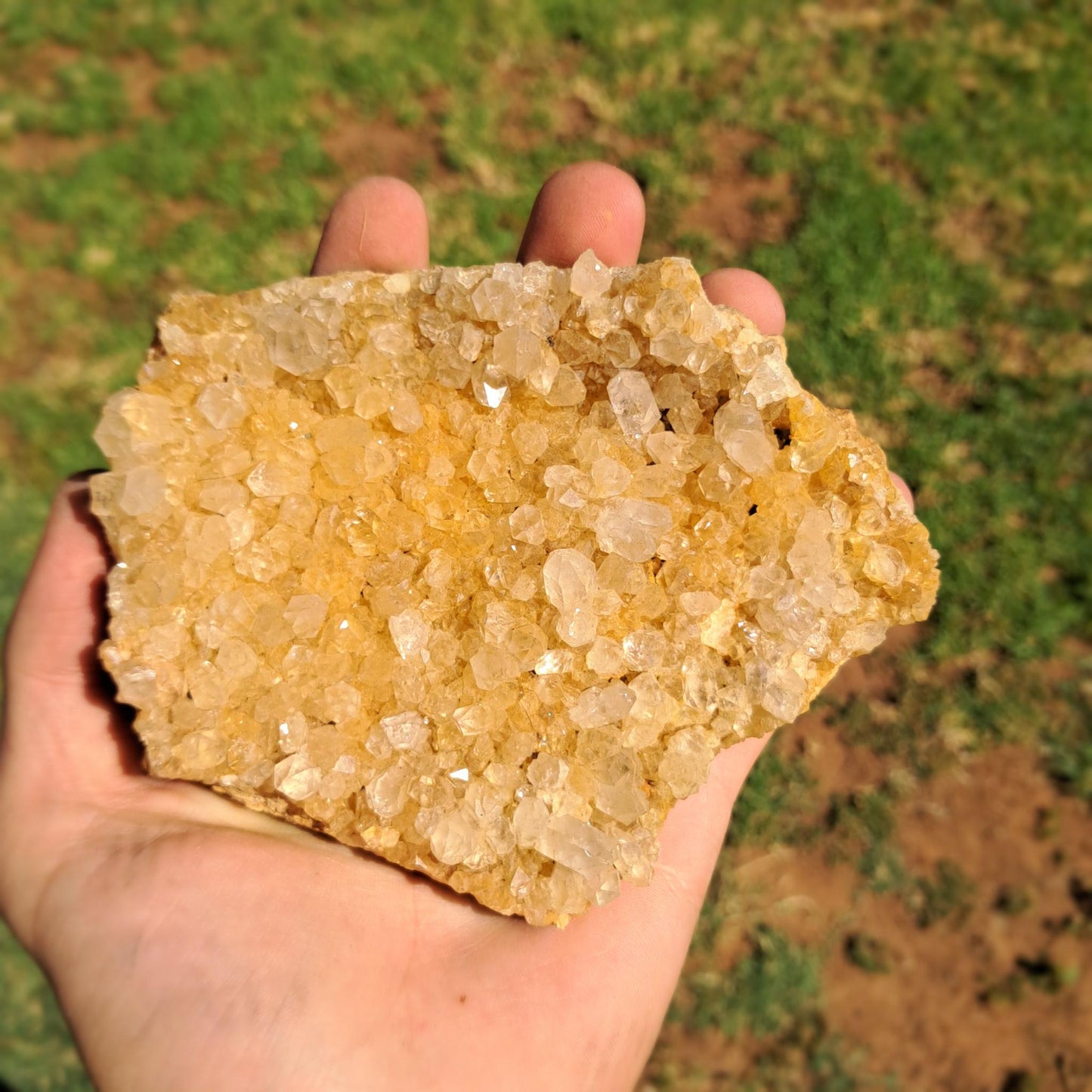 Limonite Quartz Cluster