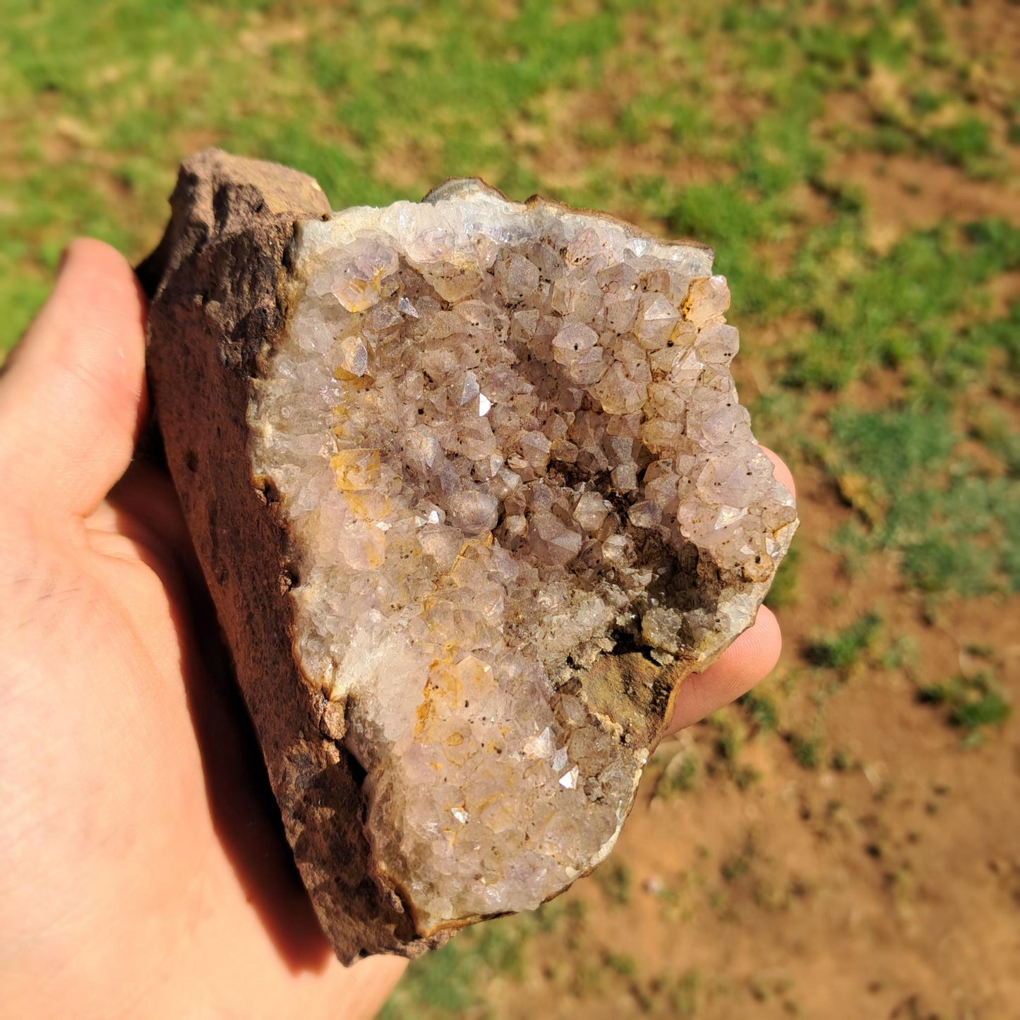 Smoky Quartz Drusy Cluster