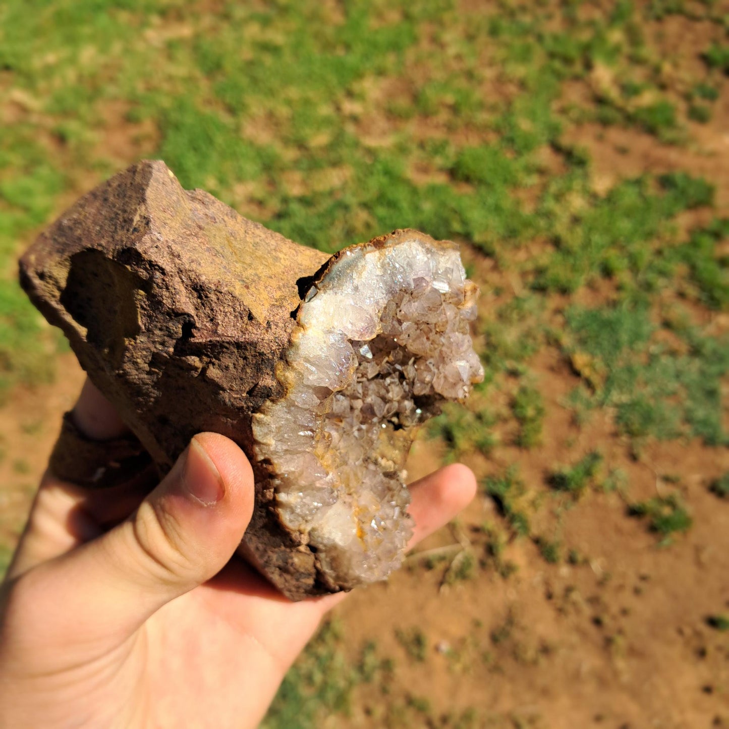 Smoky Quartz Drusy Cluster